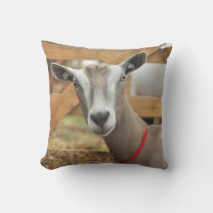 Toggenburg Dairy Goat Doe Throw Pillow