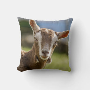 Toggenburg Dairy Goat Kid Throw Pillow