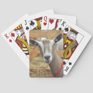 Toggenburg Dairy Goat Playing Cards