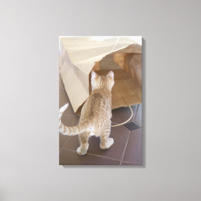 TOILE 0 2 (Recto)