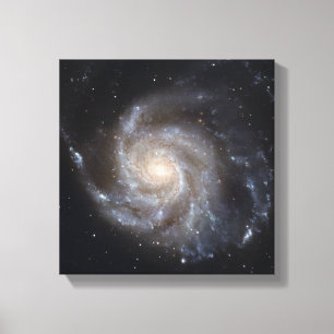 Toile 101 plus malpropres, la galaxie de soleil