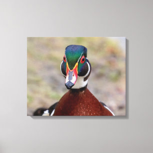 Toile 20x16 Canard à bois