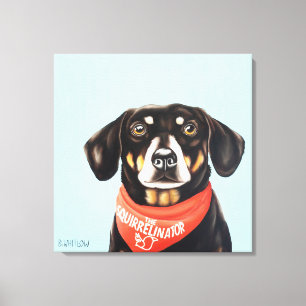Toile 24x24 Chaussettes le Dachshund