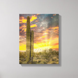 Toile 2706-Arizona Désert au coucher du soleil