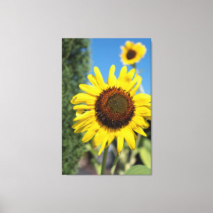 Toile 2 tournesols