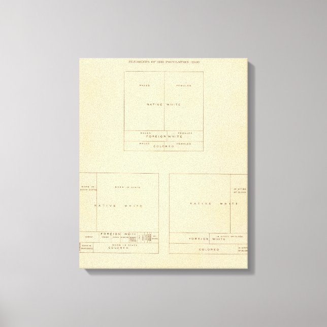 Toile 41 Éléments de la population 1900 (Recto)