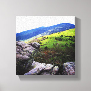 Toile 8x8 - Roan Mountain