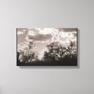 Toile à brosse arrière (désert de Sonoran AZ)