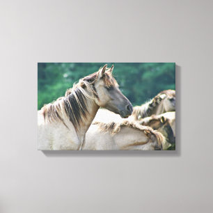 Toile A herd of Brumby Horses from Australie