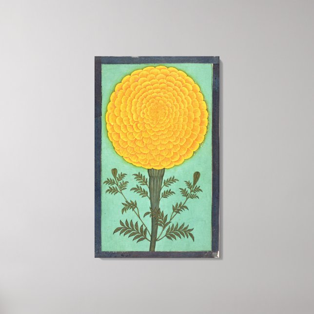 Toile A Marigold, de l'album Small Clive (avec c/c sur p (Recto)