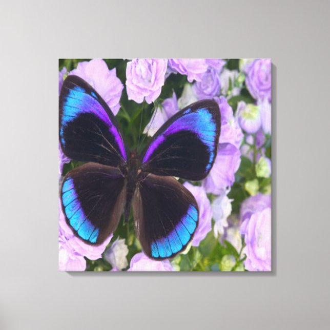 Toile à Papillon violet à enveloppe supérieure (Recto)