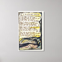 'A Poison Tree', assiette 50 (Bentley 49) de 'Song