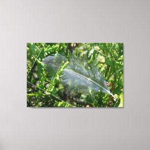 Toile A stray feather