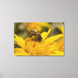 Toile Abeille africaine de miel avec Sacs de pollen nour