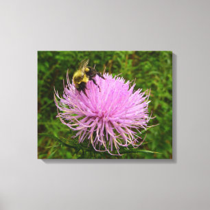 Toile Abeille sur fleur de chardon Nature