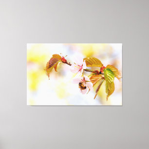 Toile Abeille Sur Une Fleur De Cerise