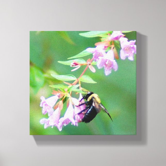 Toile Abelia Bee (Recto)