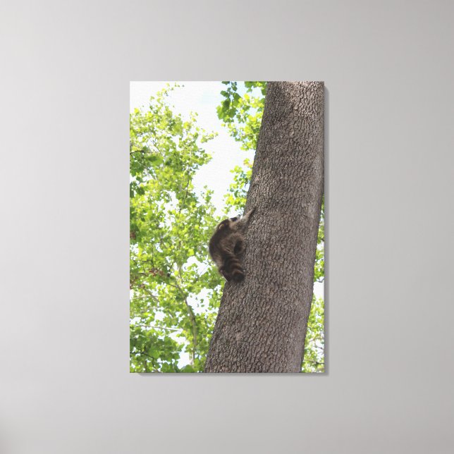 Toile adorable Baby Raccoon (Recto)