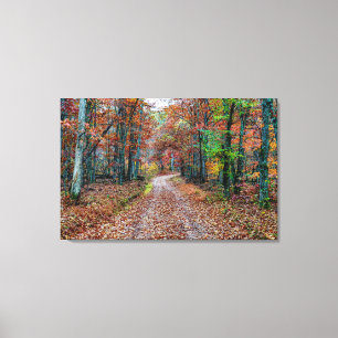 Toile Affaire On the Dirt Road new