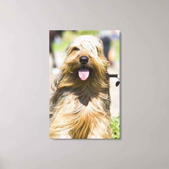 Toile affichage de langue, cheveux longs, portrait (Recto)