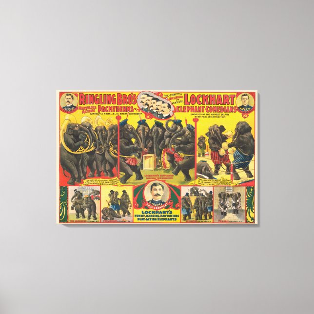 Toile Affiche De Cirque D'Éléphants Qui Se Déroulent (Recto)