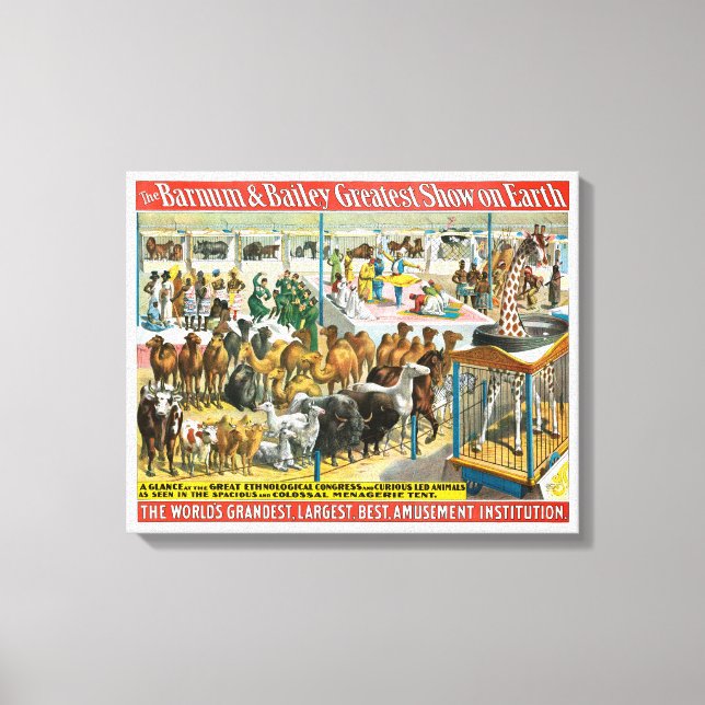 Toile Affiche De Cirque Des Personnes De Différentes Nat (Recto)