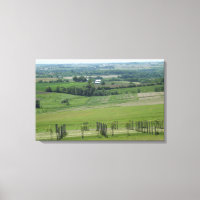 Affiche de vignoble Grapevine  à Platteville, Wisc