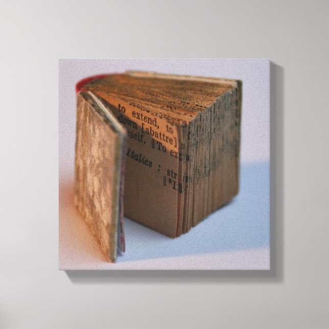 Toile Affiche du livre miniature DicofrAngle Français-An (Recto)