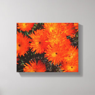 Toile Afrique du Sud Vert Orange Fleurs Succulentes
