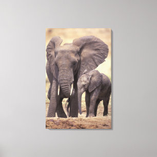 Toile Afrique, Tanzanie, Parc national de Tarangire. 2