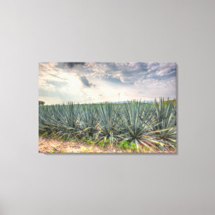 Toile Agave bleu