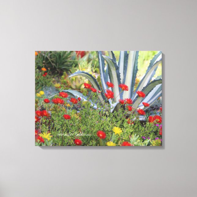 Toile Agave et Plante de glace triés (Recto)