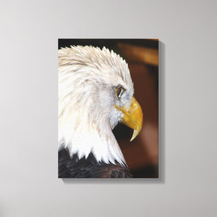 Toile Aigle de Bald