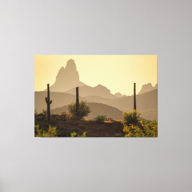 Toile Aiguille de Desert Mountain Weaver Arizona USA 60x (Recto)