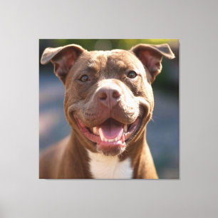 Toile Ajouter une Personnaliser photo Pit Bull