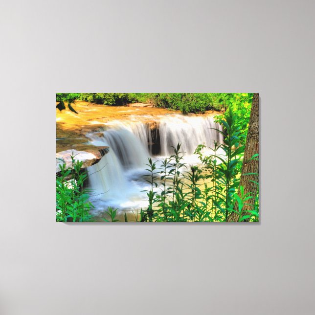 Toile Albert Falls, Virginie-Occidentale (Recto)