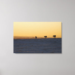 Toile Alberta, Canada 3