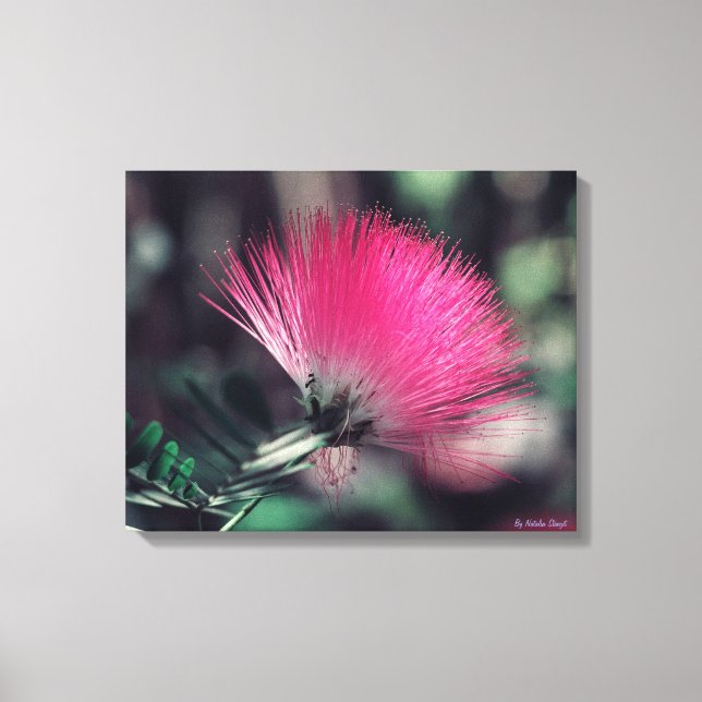 Toile Albizia julibrissin(soie persane) (Recto)