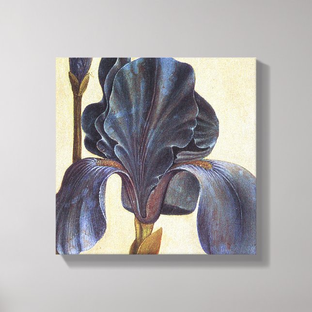 Toile Albrecht Durer Flowers - Iris Détail Peinture (Recto)