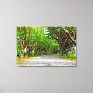 Toile Allée Arbres Alignés Paysage Photographie De Voyag