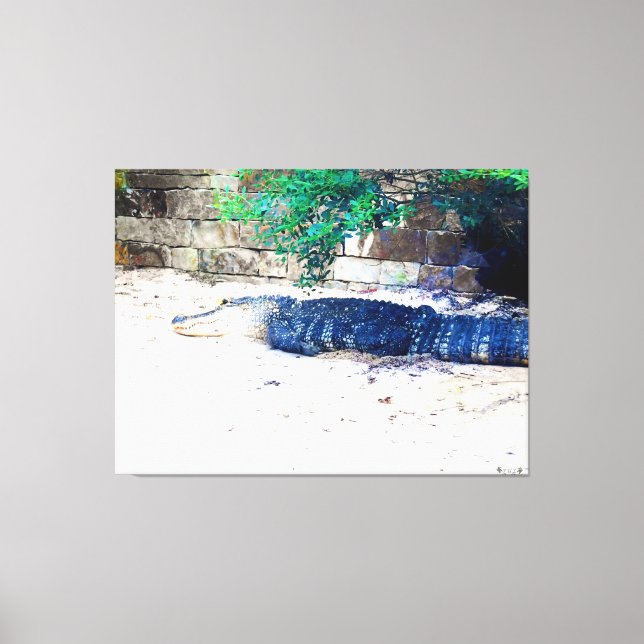 Toile Alligator se reposant près d'un mur de pierre (Recto)