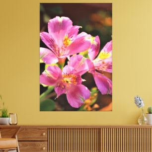 Toile Alstroemeria Lilly Étonnant Floral Gras Rose