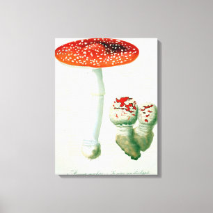 Toile Amanite Muscaria de "Phytographie Medicale" par J