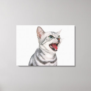 Toile American Shorthair 5