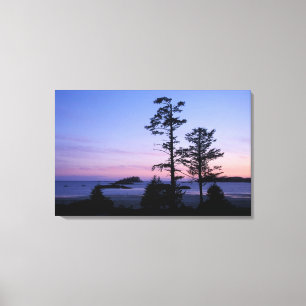Toile Amérique du Nord, Canada, île de Vancouver, arbres