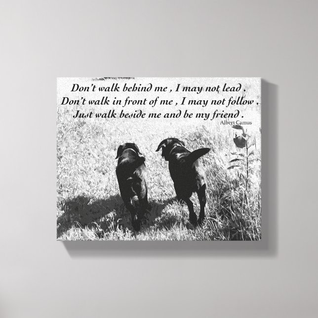 Toile Amis - Black Lab (Recto)