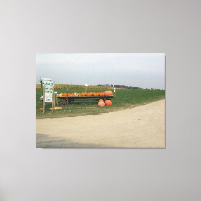 Toile Amish Citrouille Patch Farm Photographie Mur Art (Recto)