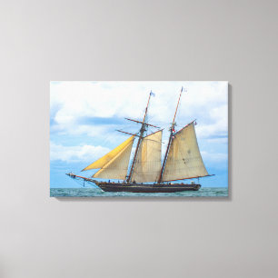 Toile Amistad sous voile