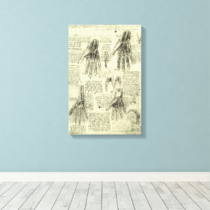 Toile Anatomie de la main humaine par Léonard de Vinci