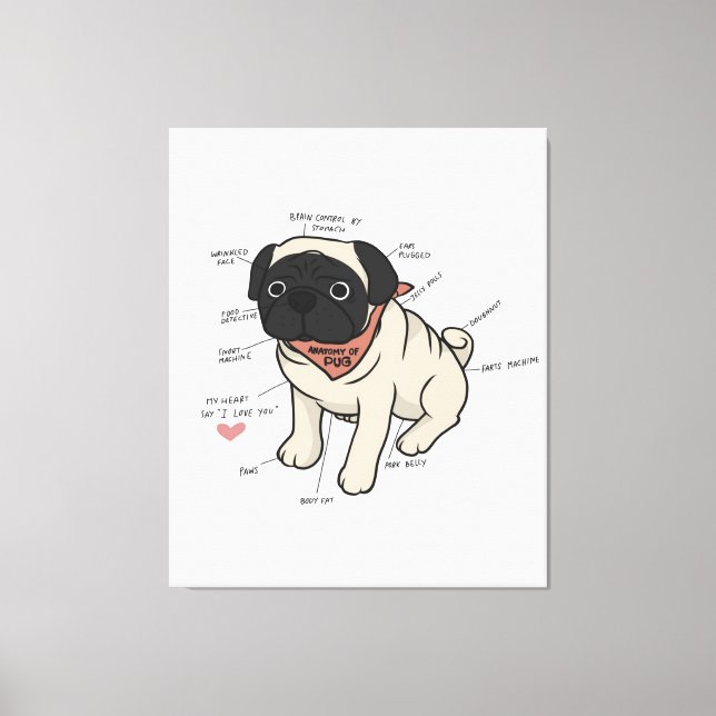 Toile Anatomie Du Chien Carlin Graphique (Recto)